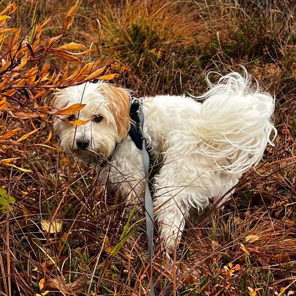 Meet your Posher, Olivia